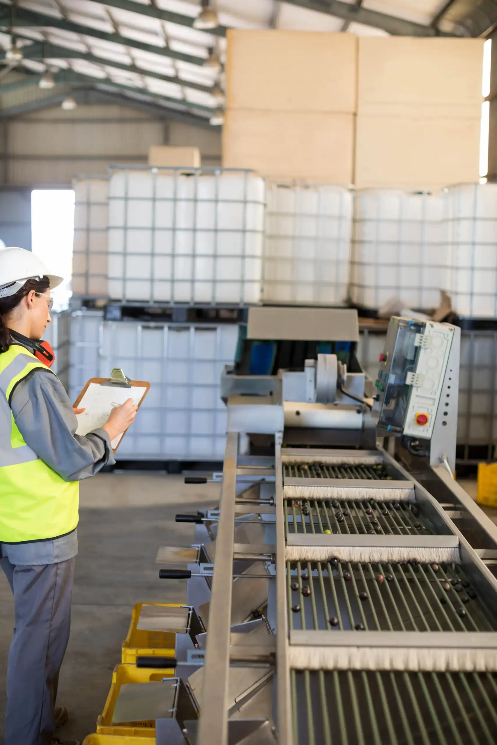IBC rigenerate settore controllo qualità - ReBulk